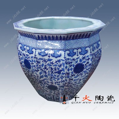 惠州觀賞魚種魚購買網站大全最新