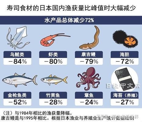 金蟾擺放的最佳方向圖：金蟾擺放的最佳方向圖 招財