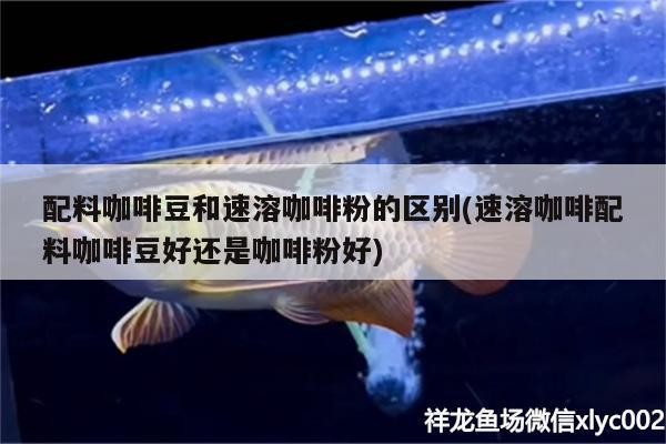 配料咖啡豆和速溶咖啡粉的區別(速溶咖啡配料咖啡豆好還是咖啡粉好)