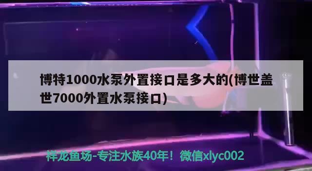 博特1000水泵外置接口是多大的(博世蓋世7000外置水泵接口)