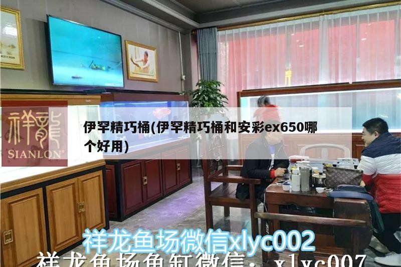 伊罕精巧桶(伊罕精巧桶和安彩ex650哪個好用) 伊罕精巧桶(伊罕精巧桶和安彩ex650哪個好用) 伊罕水族