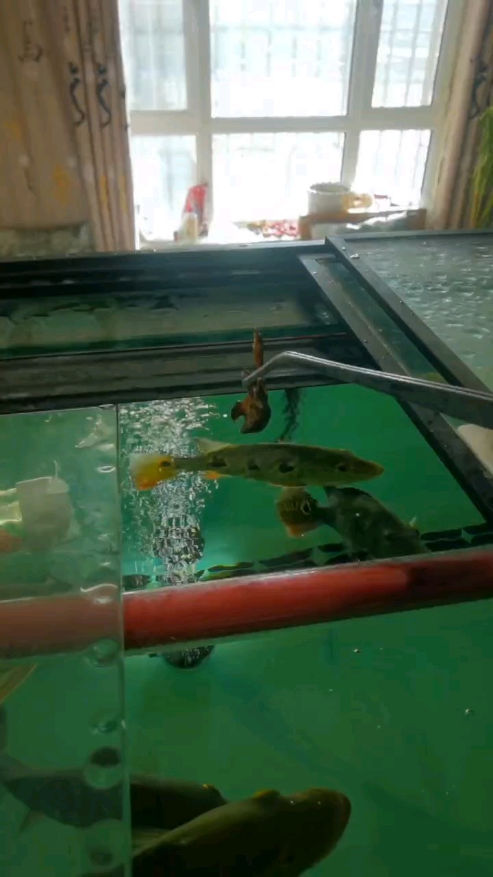 那還不就是為了開心嗎