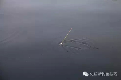 江月花月夜春江花月夜：江花月夜春江花月夜,全詩(shī)