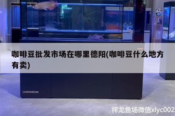 咖啡豆批發市場在哪里德陽(咖啡豆什么地方有賣) 咖啡豆批發市場在哪里德陽(咖啡豆什么地方有賣) 馬來西亞咖啡