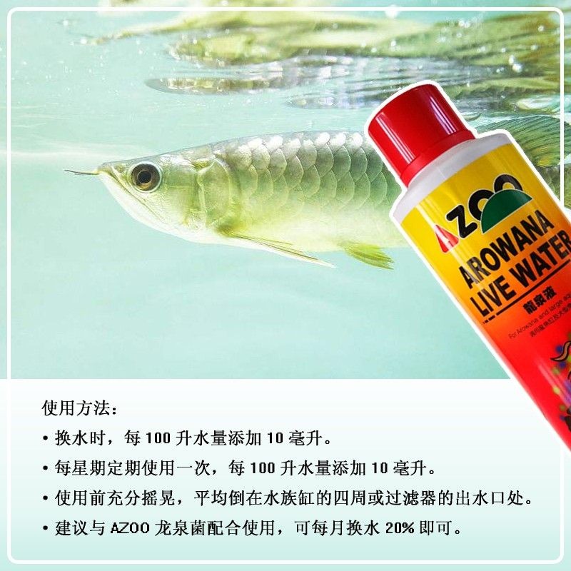龍魚都有哪些品牌好用