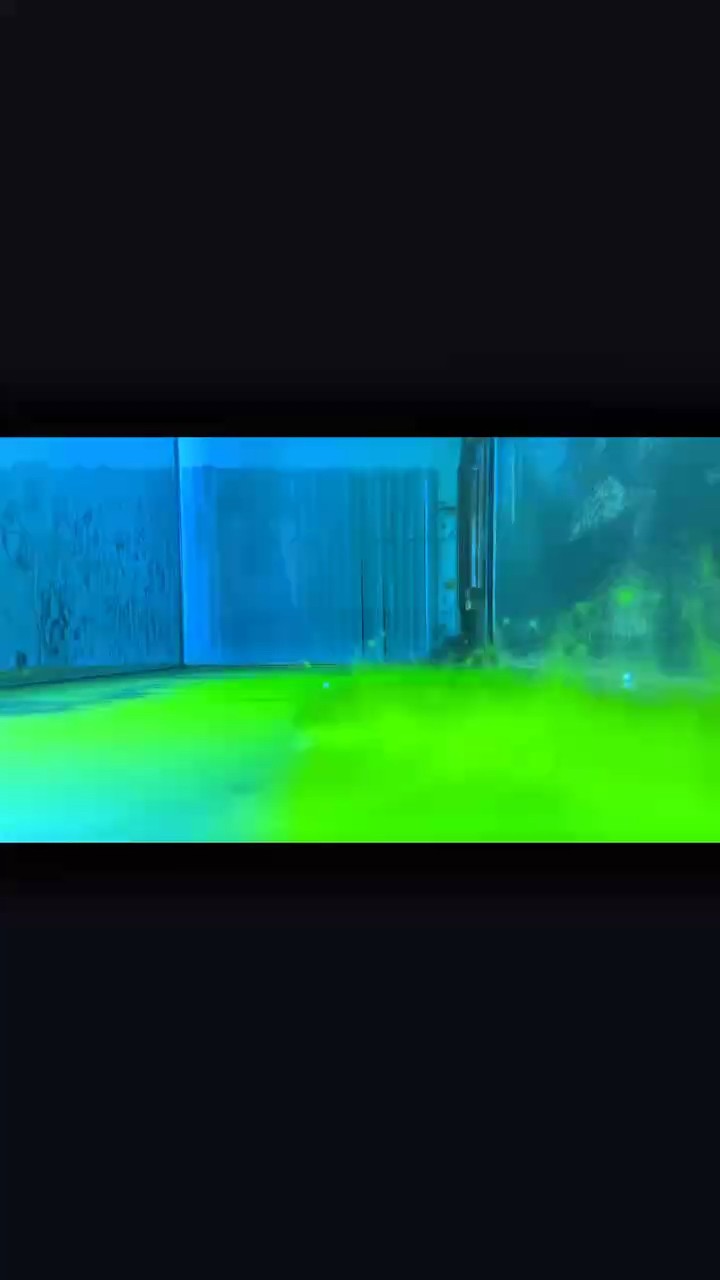 道行不夠 道行不夠 龍魚論壇