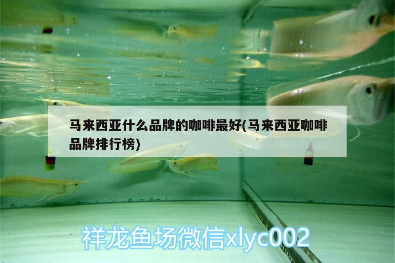 馬來(lái)西亞什么品牌的咖啡最好(馬來(lái)西亞咖啡品牌排行榜)