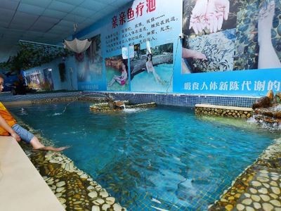 陽江水族館vs祥龍魚場（陽江水族館與祥龍魚場的區(qū)別）