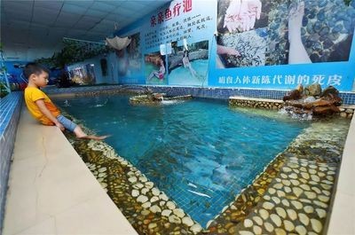 陽江水族館vs祥龍魚場（陽江水族館與祥龍魚場的區(qū)別）