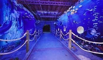 陽江水族館vs祥龍魚場（陽江水族館與祥龍魚場的區(qū)別）