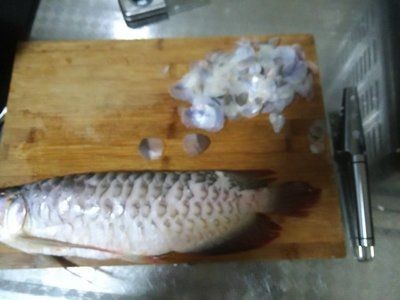 甲魚養(yǎng)殖池全套設(shè)備：甲魚養(yǎng)殖池全套設(shè)備宿舍