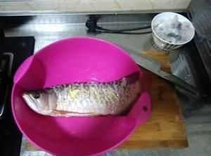 甲魚養(yǎng)殖池全套設(shè)備：甲魚養(yǎng)殖池全套設(shè)備宿舍