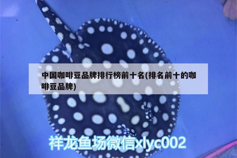 中國咖啡豆品牌排行榜前十名(排名前十的咖啡豆品牌)