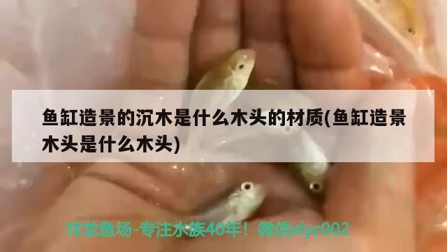 魚缸造景的沉木是什么木頭的材質(魚缸造景木頭是什么木頭)