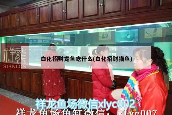家中招財布局：家中招財布局屬豬人在裝修房子時四角應該埋什么風水吻