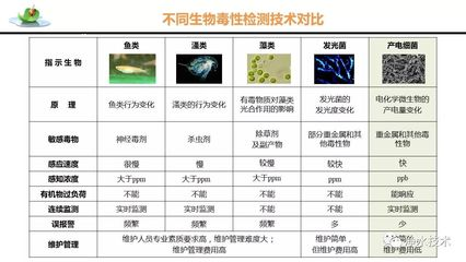 家中養魚有什么忌諱：家中養魚有什么忌諱嗎