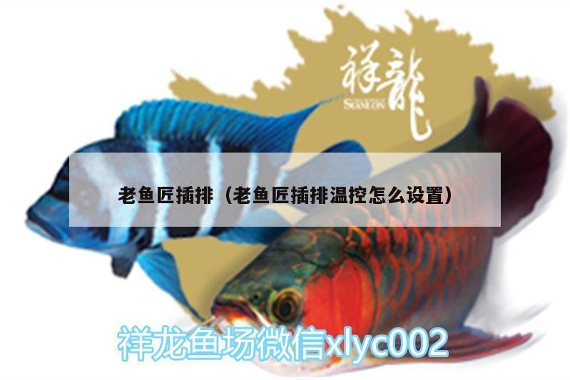 老魚匠插排（老魚匠插排溫控怎么設置）