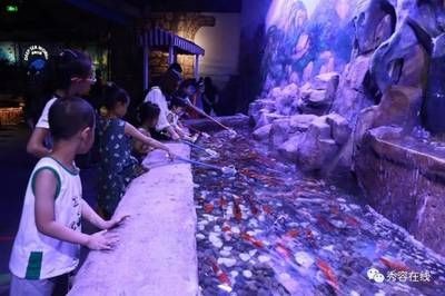 忻州水族館vs祥龍魚場（忻州水族館與祥龍魚場各有側(cè)重）