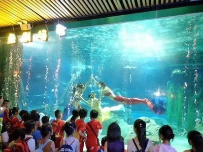 忻州水族館vs祥龍魚場（忻州水族館與祥龍魚場各有側(cè)重）