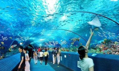 忻州水族館vs祥龍魚場（忻州水族館與祥龍魚場各有側(cè)重）