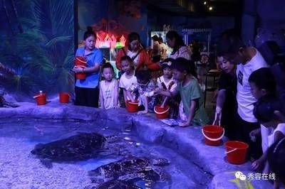 忻州水族館vs祥龍魚場（忻州水族館與祥龍魚場各有側(cè)重）