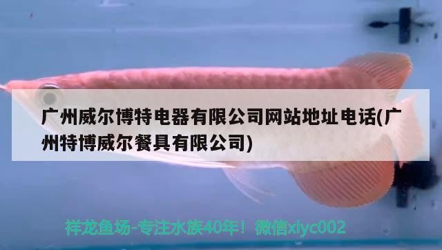 廣州威爾博特電器有限公司網(wǎng)站地址電話(廣州特博威爾餐具有限公司)