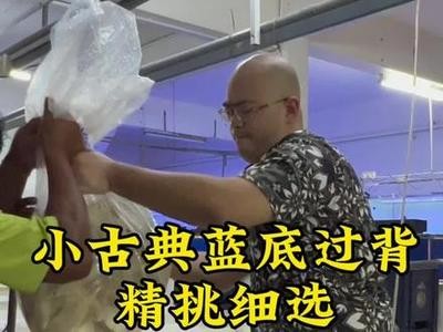 家有4條龍一個羊好嗎：家有4條龍一個羊好嗎