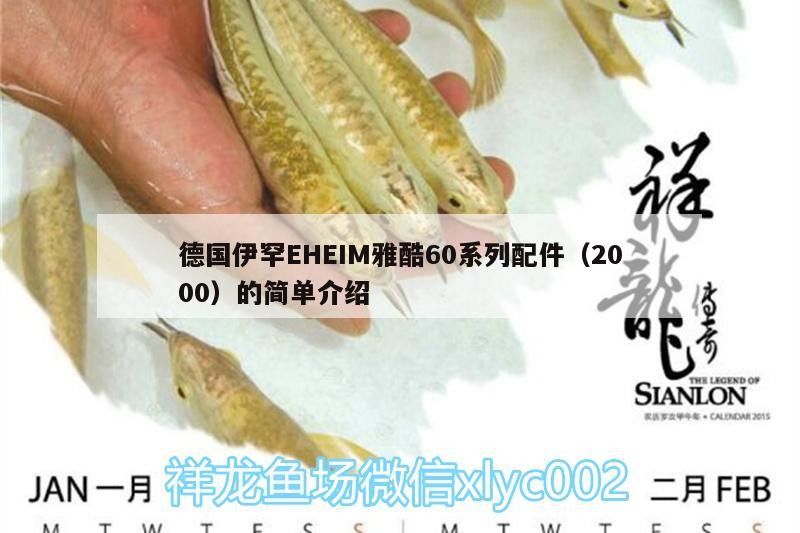 德國伊罕EHEIM雅酷60系列配件（2000）的簡單介紹