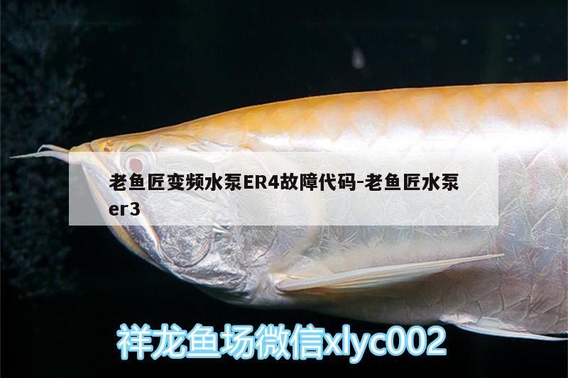 老魚匠變頻水泵ER4故障代碼:老魚匠水泵er3