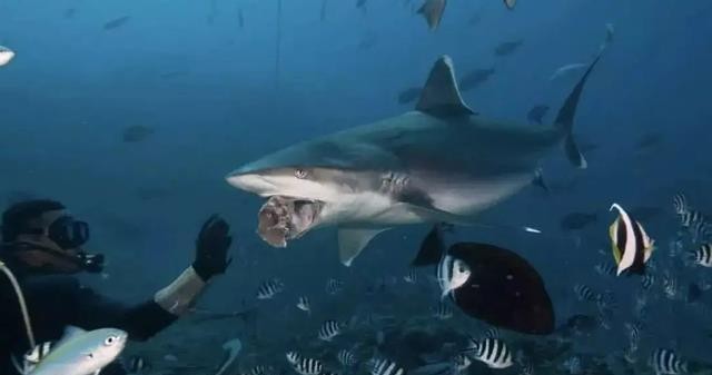 家庭養(yǎng)魚魚缸放在什么位置最好：一進(jìn)門看見魚缸好嗎?