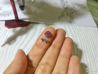 家庭養(yǎng)什么龜招財(cái)進(jìn)寶：家庭養(yǎng)什么龜招財(cái)進(jìn)寶好