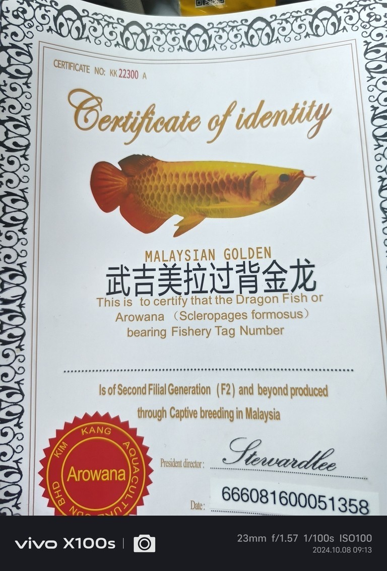 大神們幫幫忙看看