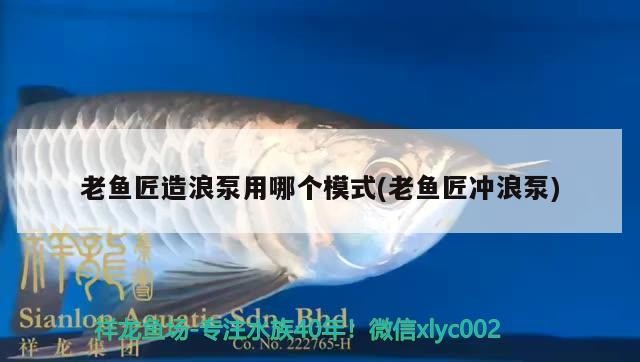 老魚(yú)匠造浪泵用哪個(gè)模式(老魚(yú)匠沖浪泵)