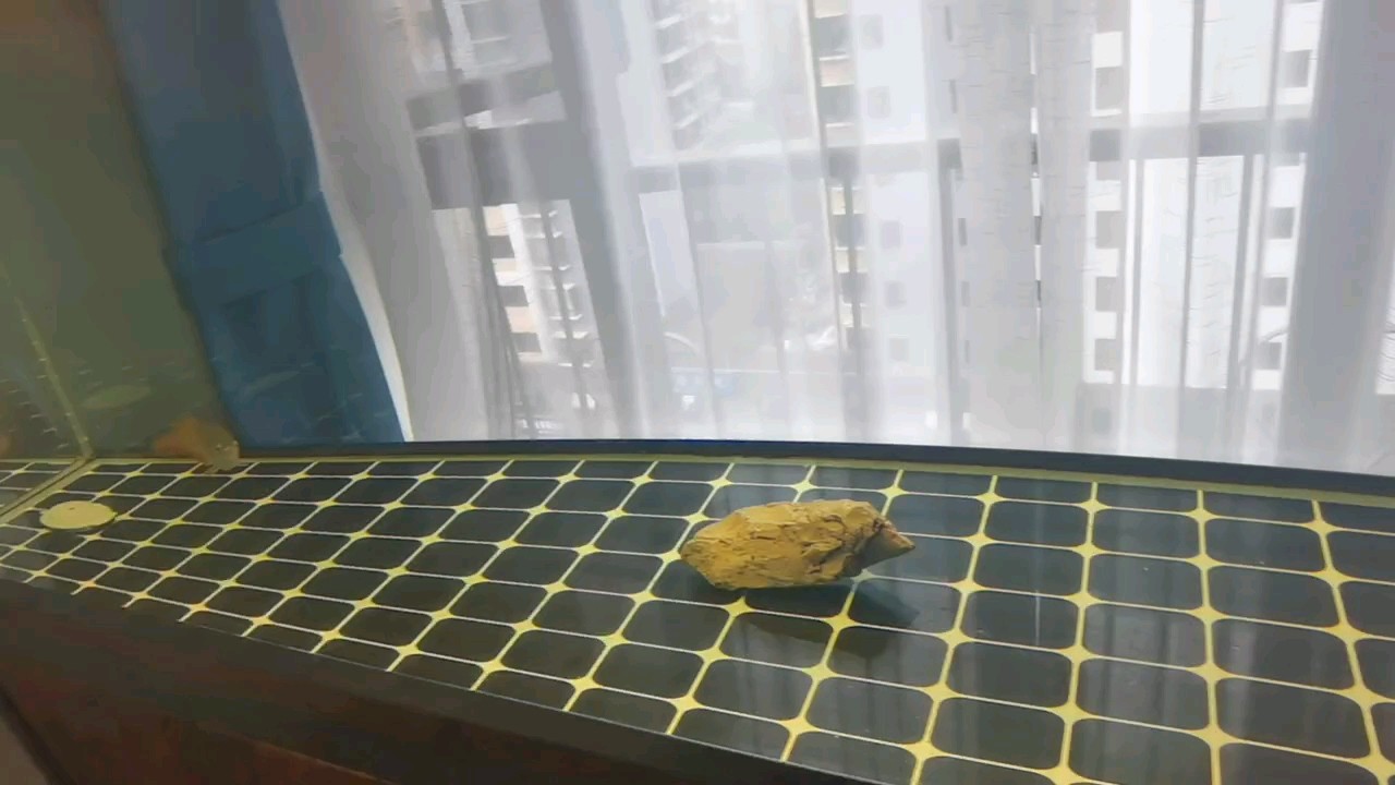才養第二個月就開始趴缸了