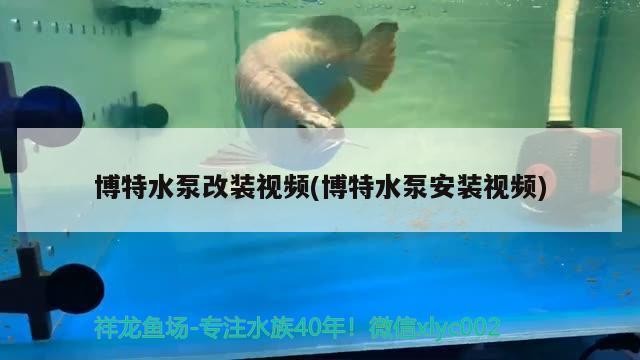 博特水泵改裝視頻(博特水泵安裝視頻)