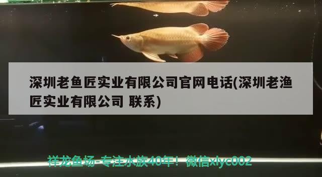 深圳老魚匠實業有限公司官網電話(深圳老漁匠實業有限公司聯系)