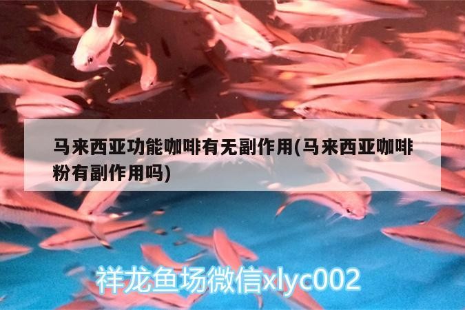 馬來西亞功能咖啡有無副作用(馬來西亞咖啡粉有副作用嗎)