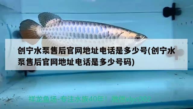 創寧水泵售后官網地址電話是多少號(創寧水泵售后官網地址電話是多少號碼)