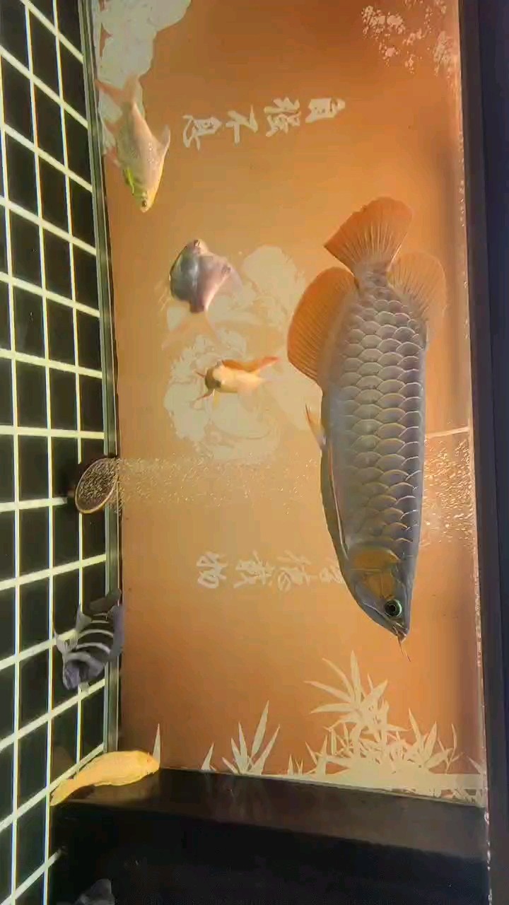 國慶最后一天打卡記錄……