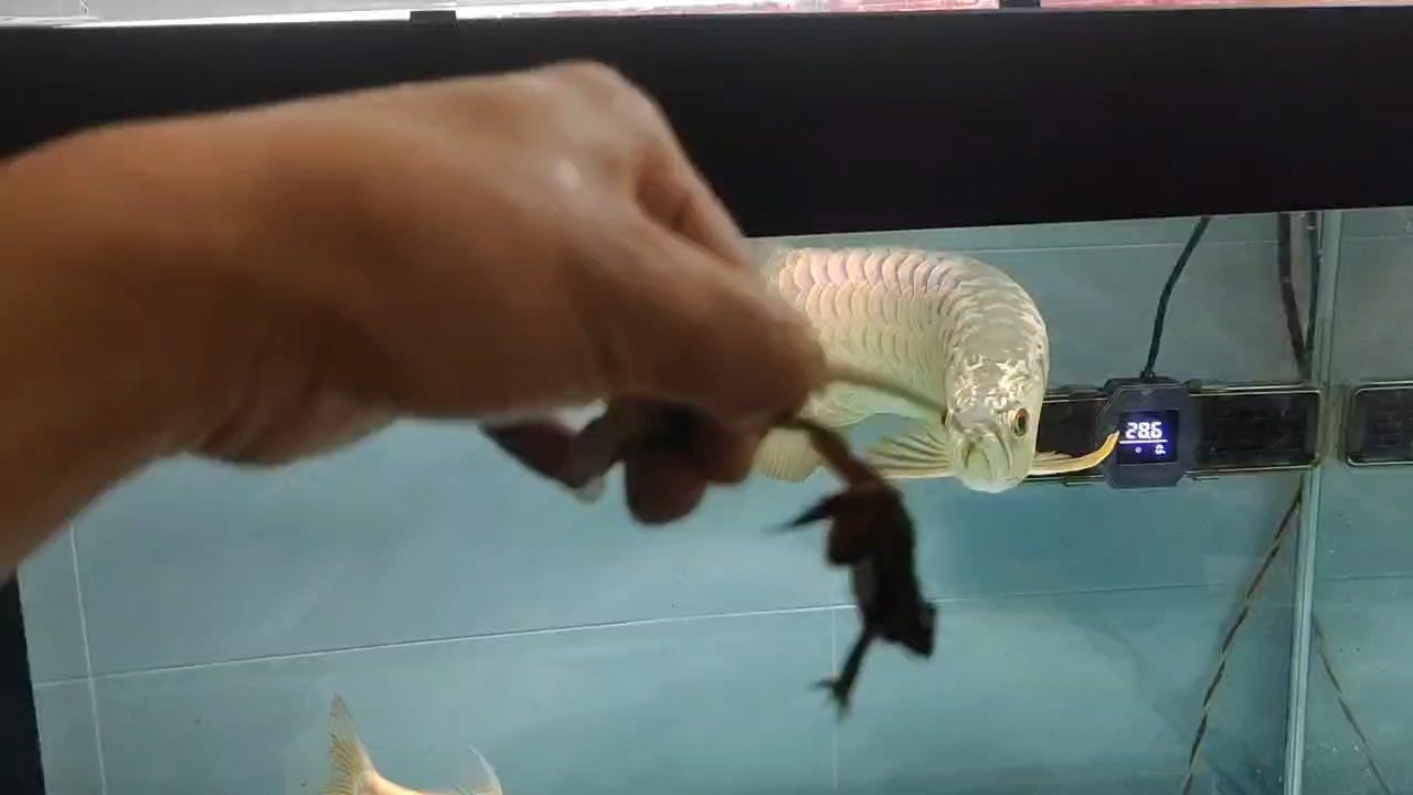 十月，你有哪些新發現？分享一下你的快樂時刻！