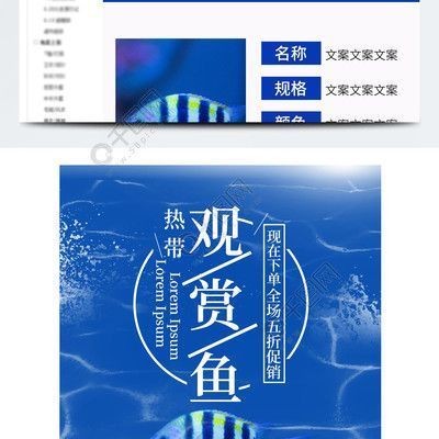 伊罕精巧桶和安彩ex650哪個好用(伊罕150和精巧桶60哪個好)
