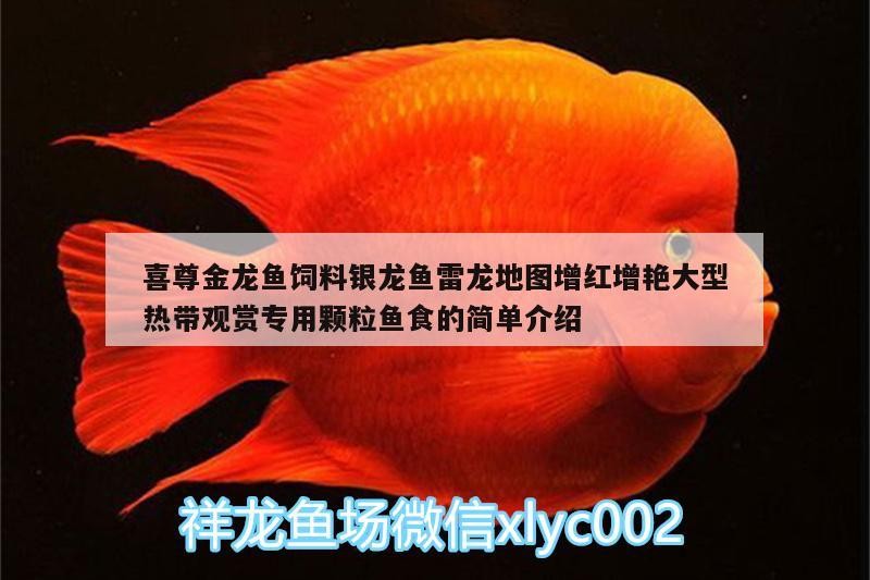 喜尊金龍魚飼料銀龍魚雷龍地圖增紅增艷大型熱帶觀賞專用顆粒魚食的簡(jiǎn)單介紹