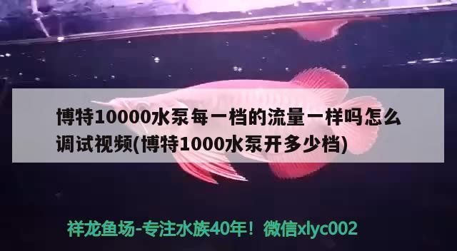 博特10000水泵每一檔的流量一樣嗎怎么調試視頻(博特1000水泵開多少檔)