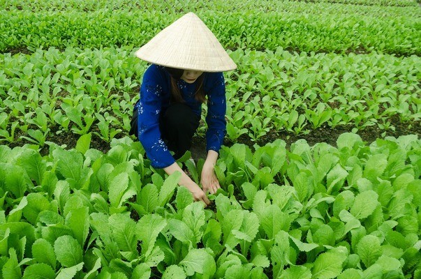創寧變頻水泵廠家（創寧變頻水泵廠家在哪里）