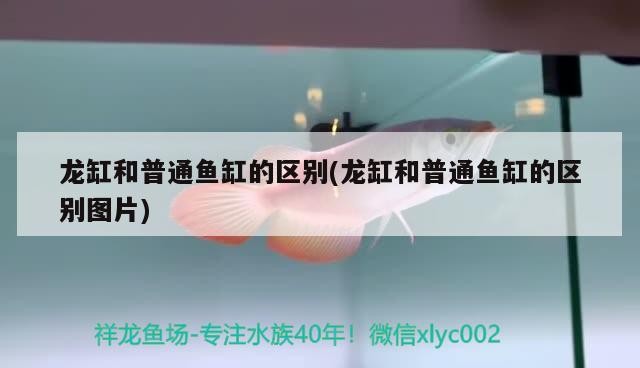 北京正宏易達水族店 全國水族館企業名錄 第1張 北京正宏易達水族店 北京正宏易達水族店 全國水族館企業名錄 第1張