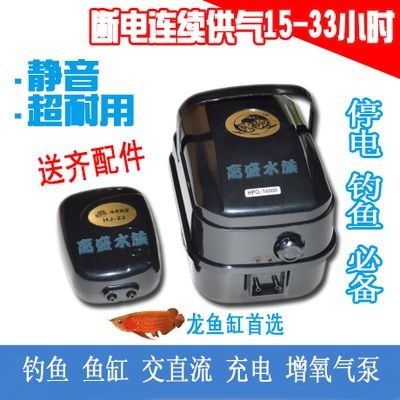 龍魚缸停電能撐多久，龍魚在停電的情況下能堅持多久？