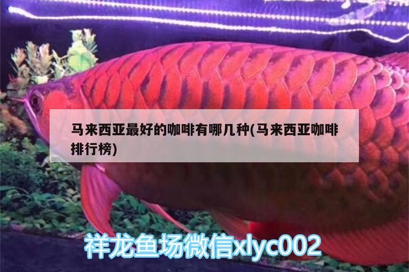 馬來西亞最好的咖啡有哪幾種(馬來西亞咖啡排行榜)