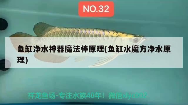 魚缸凈水神器魔法棒原理(魚缸水魔方凈水原理)