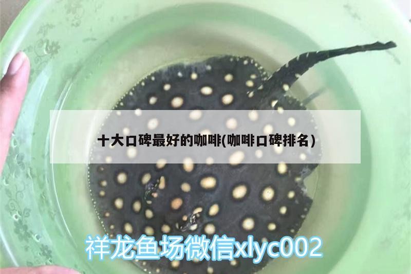如何判斷魚爛鰓病是否好轉，「魚爛鰓病恢復期每日觀察記錄表」