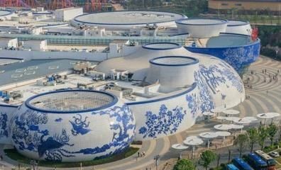 景德鎮(zhèn)水族館vs祥龍魚場（探討景德鎮(zhèn)水族館與祥龍魚場的區(qū)別之前需要明確兩者的基本信息和特點）